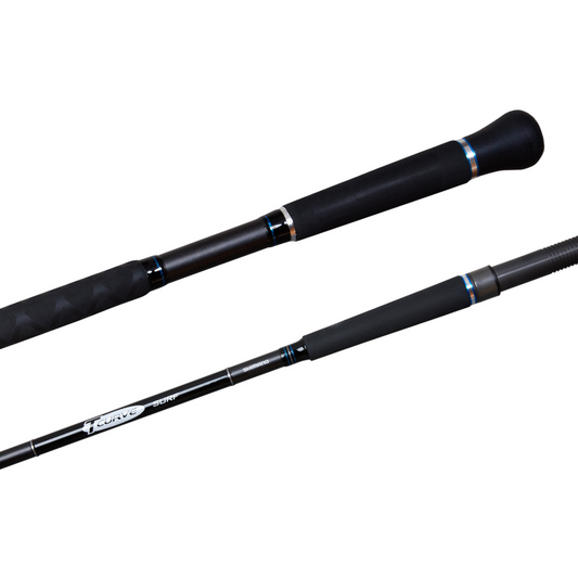 Shimano TCurve Surf (Fishing Rod)