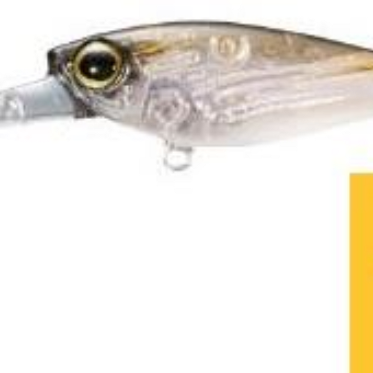 Shimano Bantam Pavlo Shad 6g (Lifestyle Gear)